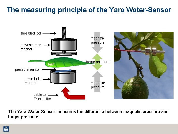 The measuring principle of the Yara Water-Sensor threaded rod magnetic pressure movable toric magnet The measuring principle of the Yara Water-Sensor threaded rod magnetic pressure movable toric magnet
