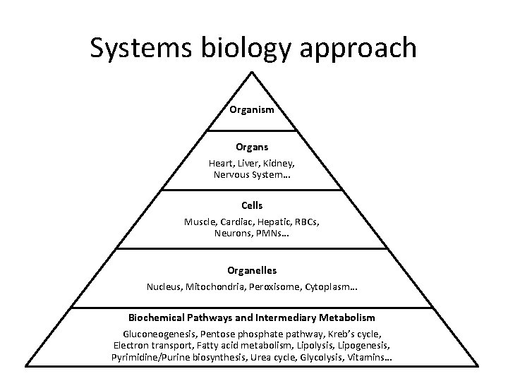 Systems biology approach Organism Organs Heart, Liver, Kidney, Nervous System… Cells Muscle, Cardiac, Hepatic,