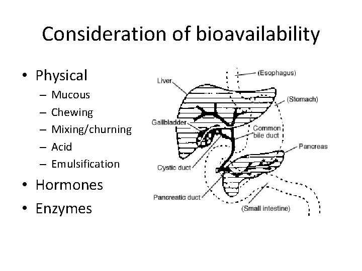 Consideration of bioavailability • Physical – – – Mucous Chewing Mixing/churning Acid Emulsification •