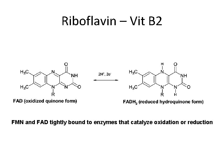 Riboflavin – Vit B 2 FMN and FAD tightly bound to enzymes that catalyze