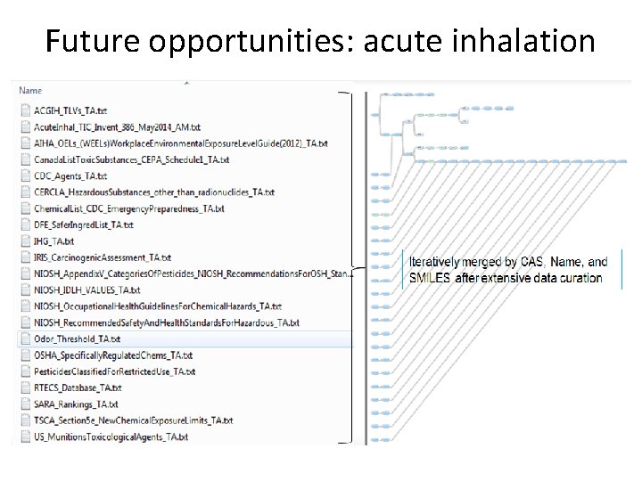 Future opportunities: acute inhalation 