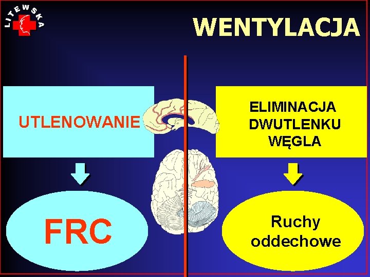 WENTYLACJA UTLENOWANIE ELIMINACJA DWUTLENKU WĘGLA FRC Ruchy oddechowe 