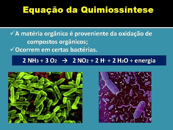Equação da Quimiossíntese üA matéria orgânica é proveniente da oxidação de compostos orgânicos; üOcorrem