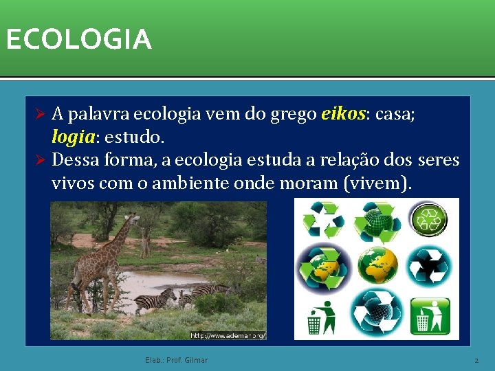 ECOLOGIA A palavra ecologia vem do grego eikos: casa; logia: estudo. Ø Dessa forma,