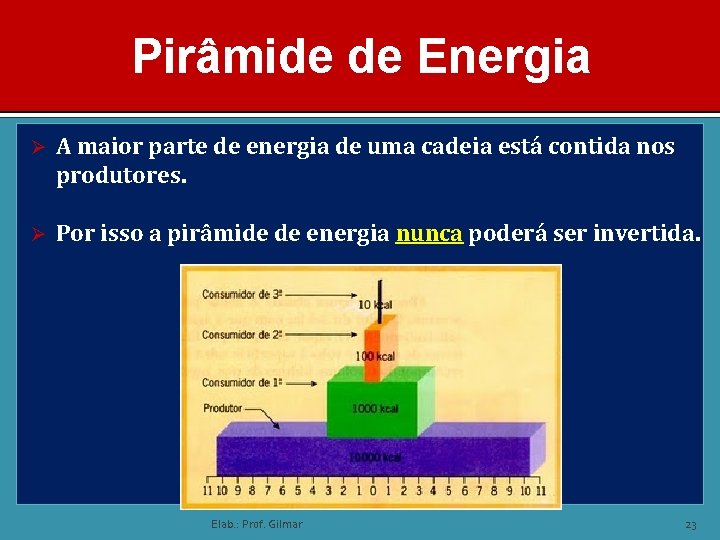 Pirâmide de Energia Ø A maior parte de energia de uma cadeia está contida