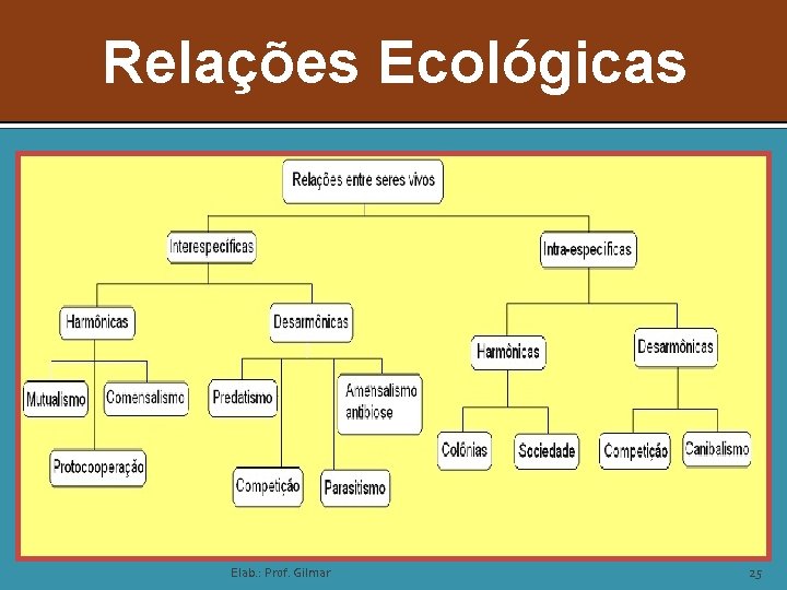 Relações Ecológicas Elab. : Prof. Gilmar 25 