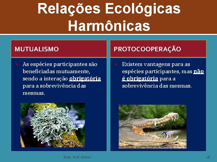 Relações Ecológicas Harmônicas MUTUALISMO Ø PROTOCOOPERAÇÃO As espécies participantes são beneficiadas mutuamente, sendo a