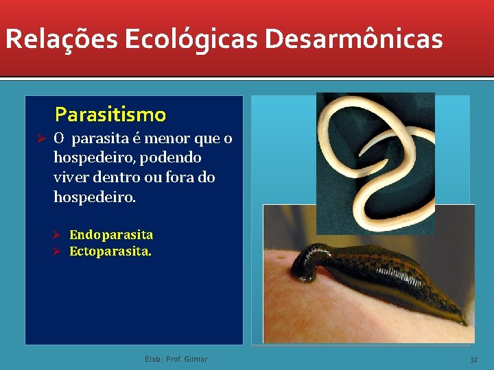 Relações Ecológicas Desarmônicas Parasitismo Ø O parasita é menor que o hospedeiro, podendo viver