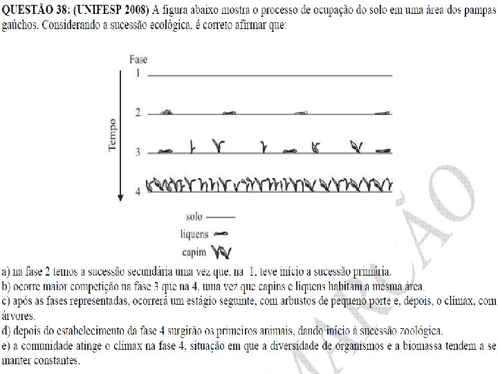 Elab. : Prof. Gilmar 38 