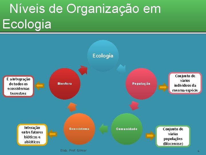 Níveis de Organização em Ecologia É a integração de todos os ecossistemas terrestres Interação