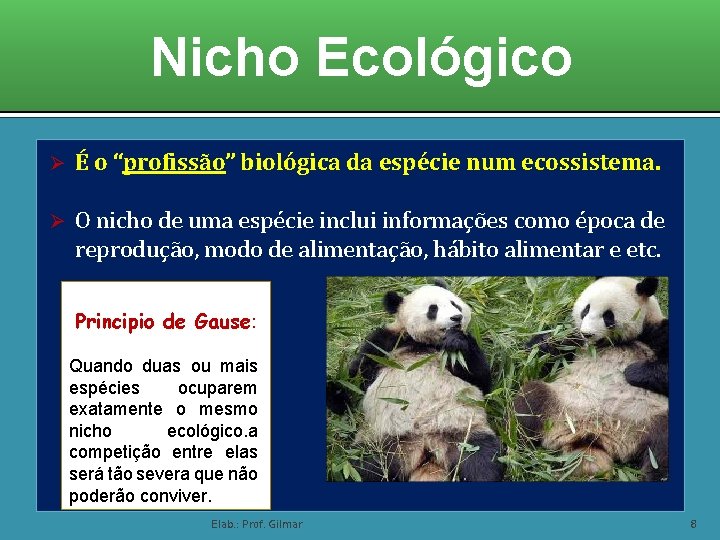 Nicho Ecológico Ø É o “profissão” biológica da espécie num ecossistema. Ø O nicho