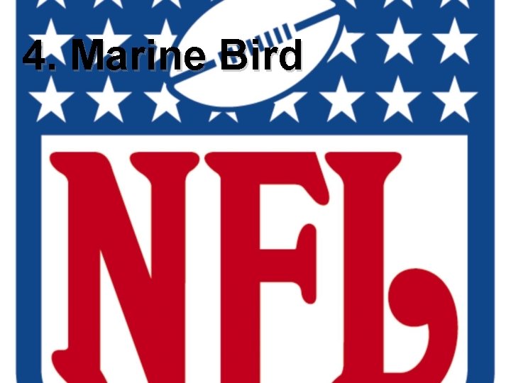 4. Marine Bird 