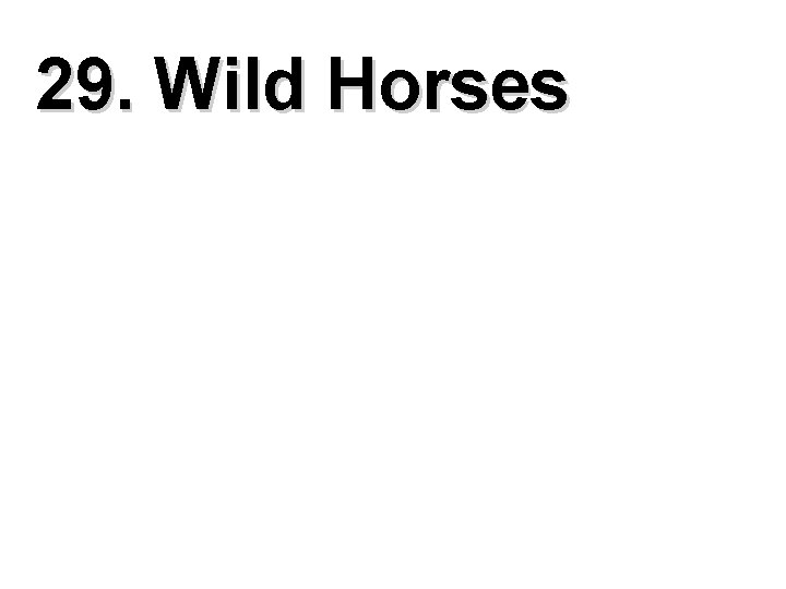 29. Wild Horses 