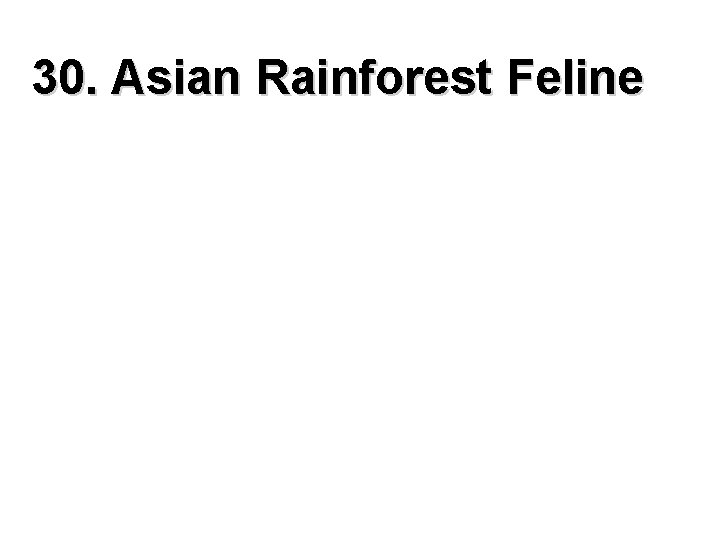 30. Asian Rainforest Feline 