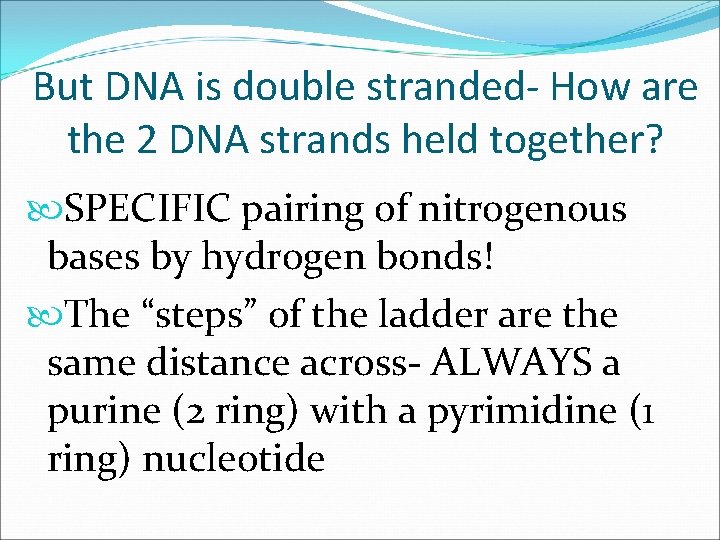 But DNA is double stranded- How are the 2 DNA strands held together? SPECIFIC