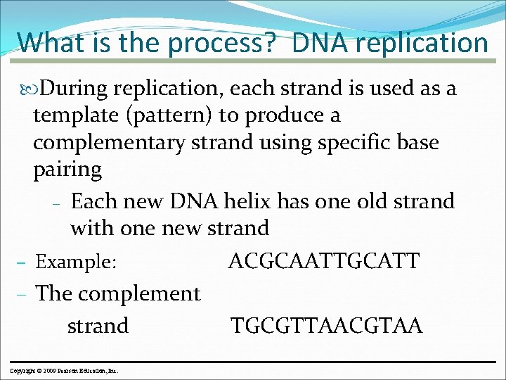 What is the process? DNA replication During replication, each strand is used as a