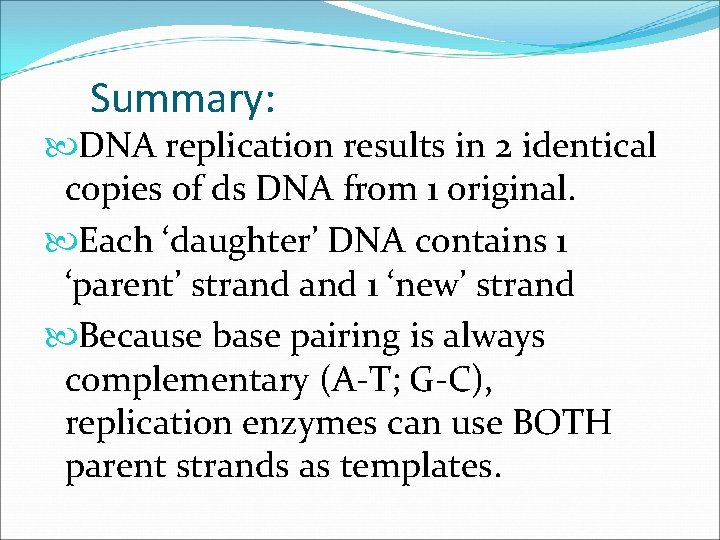 Summary: DNA replication results in 2 identical copies of ds DNA from 1 original.