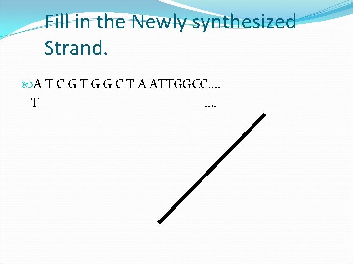 Fill in the Newly synthesized Strand. A T C G T G G C