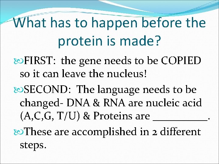 What has to happen before the protein is made? FIRST: the gene needs to