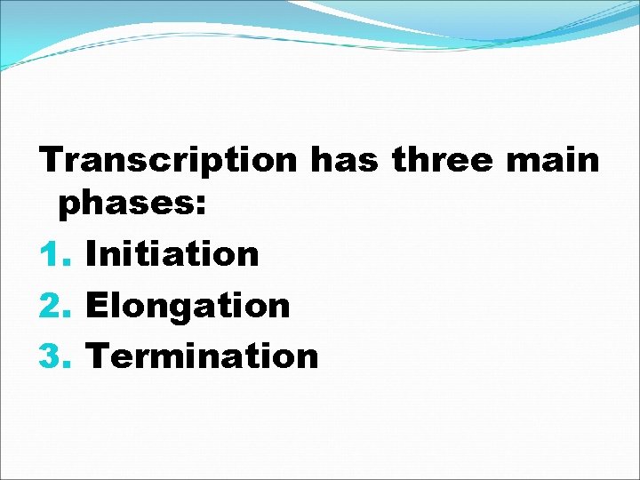 Transcription has three main phases: 1. Initiation 2. Elongation 3. Termination 