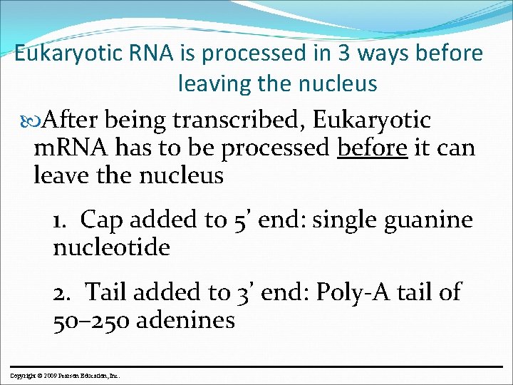 Eukaryotic RNA is processed in 3 ways before leaving the nucleus After being transcribed,