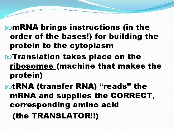  m. RNA brings instructions (in the order of the bases!) for building the