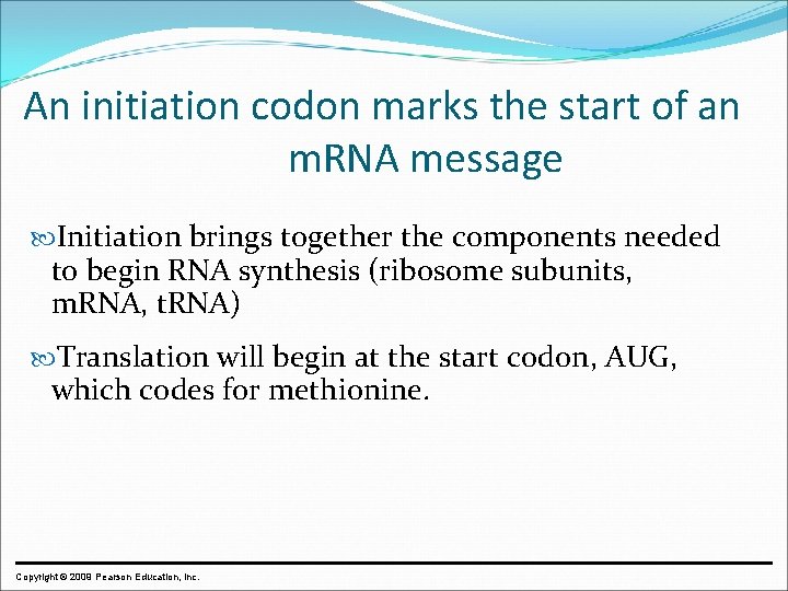 An initiation codon marks the start of an m. RNA message Initiation brings together