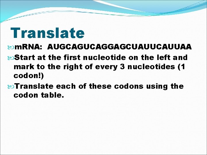 Translate m. RNA: AUGCAGUCAGGAGCUAUUCAUUAA Start at the first nucleotide on the left and mark