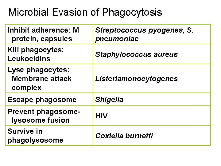 Microbial Evasion of Phagocytosis Inhibit adherence: M protein, capsules Kill phagocytes: Leukocidins Streptococcus pyogenes,