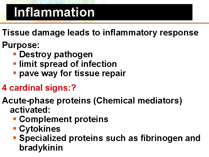 Inflammation Tissue damage leads to inflammatory response Purpose: § Destroy pathogen § limit spread