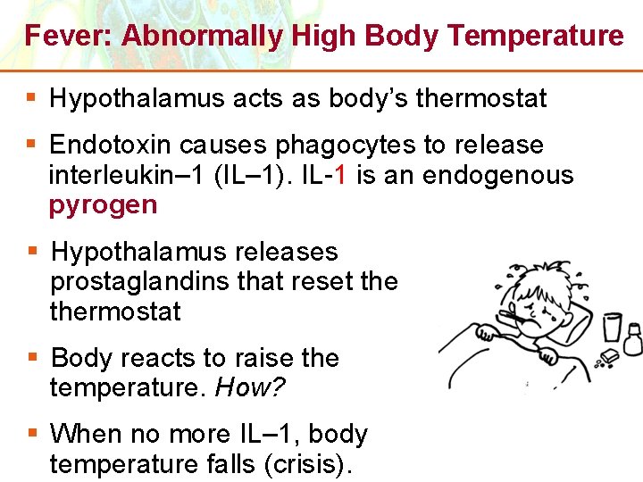 Fever: Abnormally High Body Temperature § Hypothalamus acts as body’s thermostat § Endotoxin causes