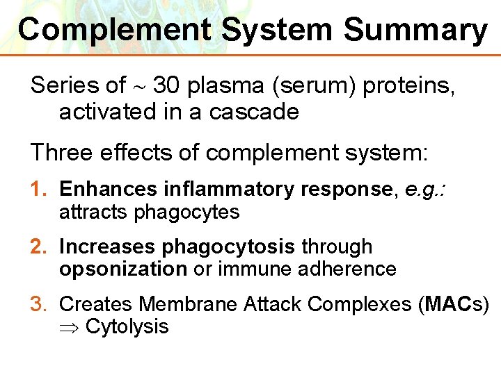 Complement System Summary Series of 30 plasma (serum) proteins, activated in a cascade Three