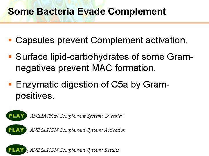 Some Bacteria Evade Complement § Capsules prevent Complement activation. § Surface lipid-carbohydrates of some