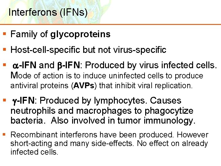 Interferons (IFNs) § Family of glycoproteins § Host-cell-specific but not virus-specific § -IFN and