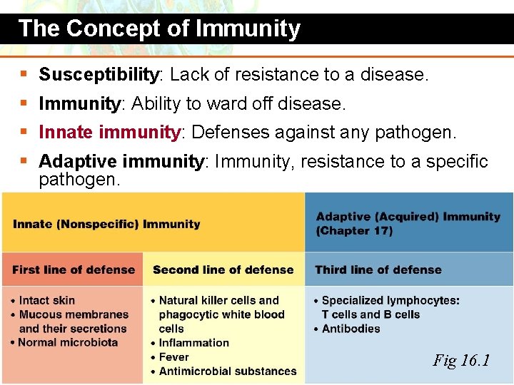 The Concept of Immunity § Susceptibility: Lack of resistance to a disease. § Immunity: