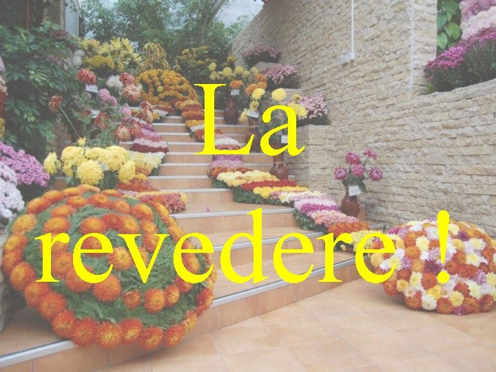 La revedere ! 