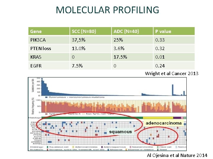 MOLECULAR PROFILING Gene SCC (N=80) ADC (N=40) P value PIK 3 CA 37, 5%