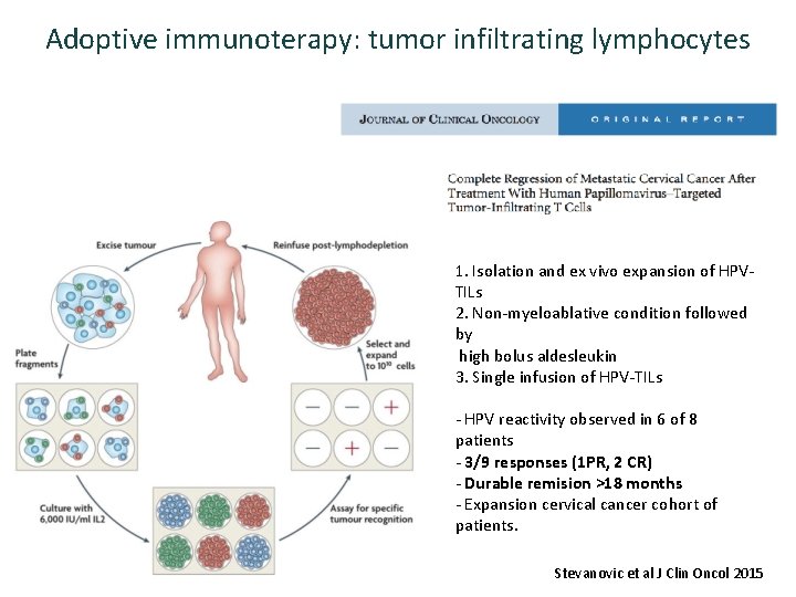 Adoptive immunoterapy: tumor infiltrating lymphocytes 1. Isolation and ex vivo expansion of HPVTILs 2.