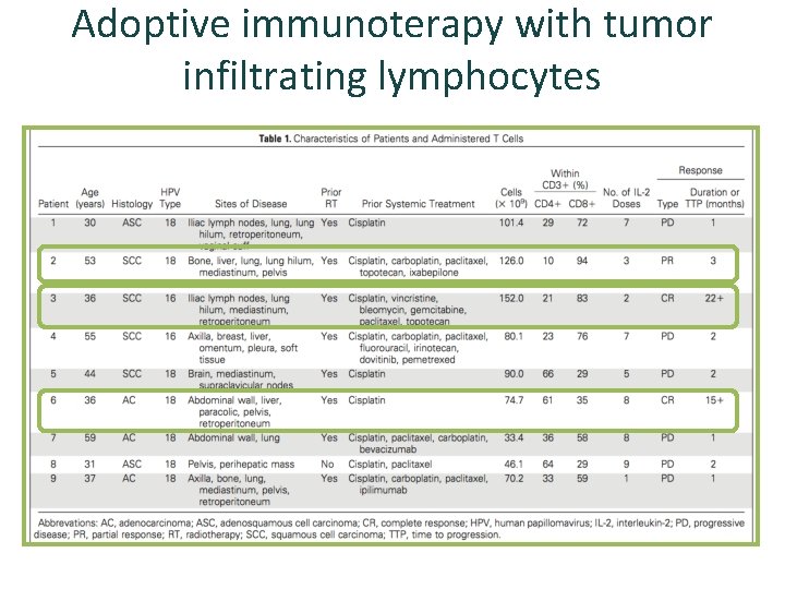 Adoptive immunoterapy with tumor infiltrating lymphocytes 