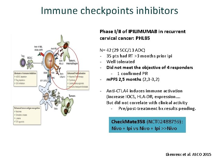 Immune checkpoints inhibitors Phase I/II of IPILIMUMAB in recurrent cervical cancer: PHL 85 N=