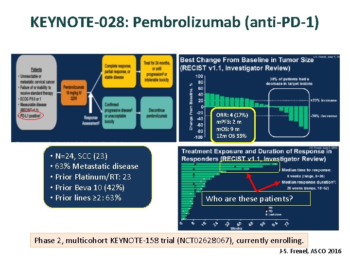 KEYNOTE-028: Pembrolizumab (anti-PD-1) ORR: 4 (17%) m. PFS: 2 m m. OS: 9 m