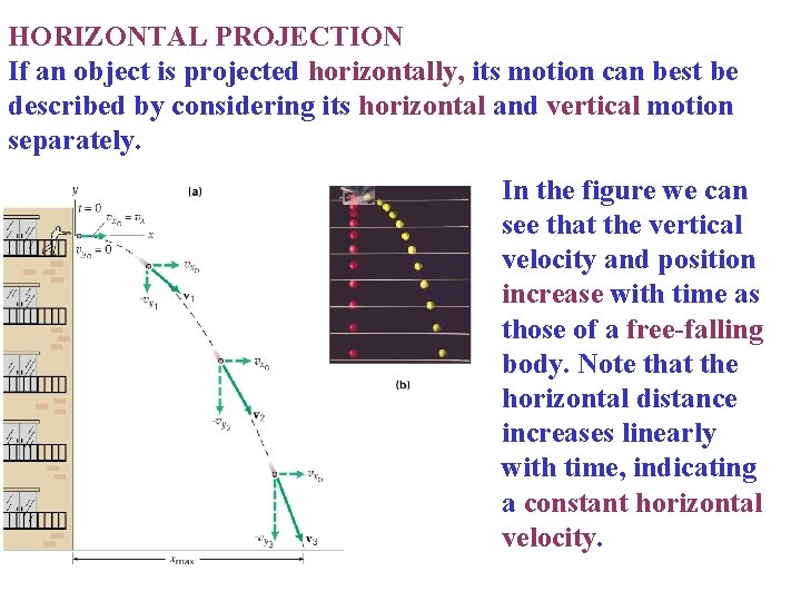 HORIZONTAL PROJECTION If an object is projected horizontally, its motion can best be described