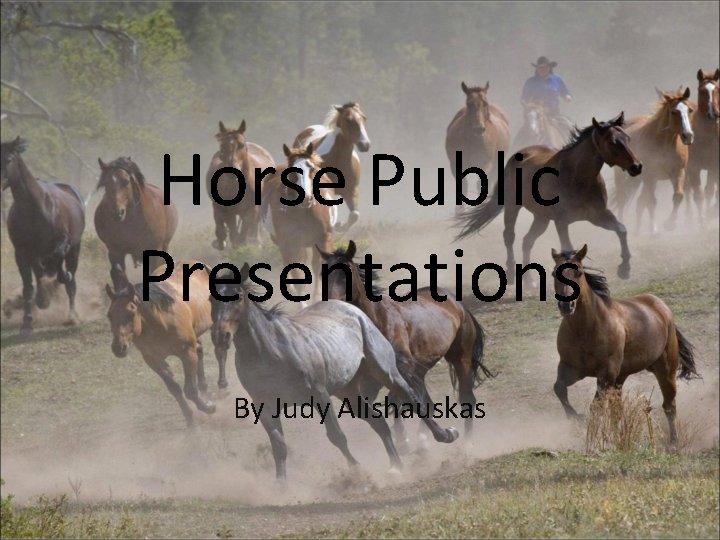 Horse Public Presentations By Judy Alishauskas 