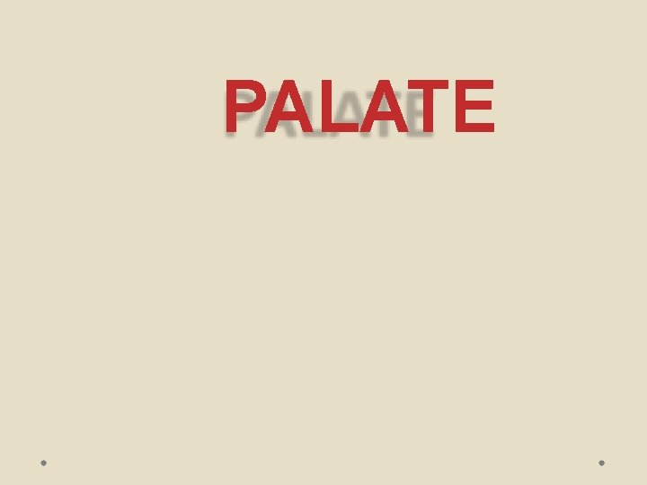 PALATE 