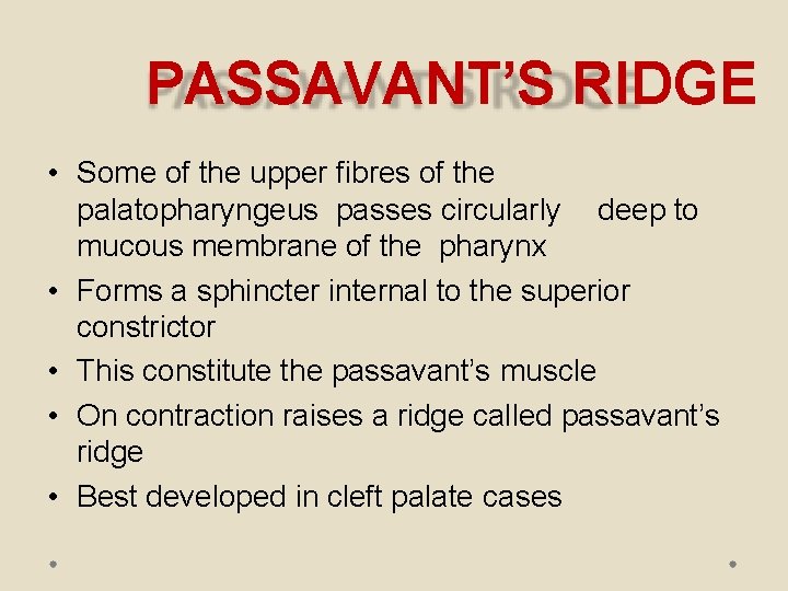 PASSAVANT’S RIDGE • Some of the upper fibres of the palatopharyngeus passes circularly deep