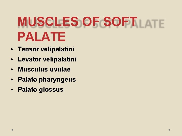 MUSCLES OF SOFT PALATE • Tensor velipalatini • Levator velipalatini • Musculus uvulae •