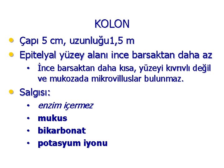 KOLON • Çapı 5 cm, uzunluğu 1, 5 m • Epitelyal yüzey alanı ince