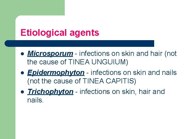Etiological agents l l l Microsporum - infections on skin and hair (not the