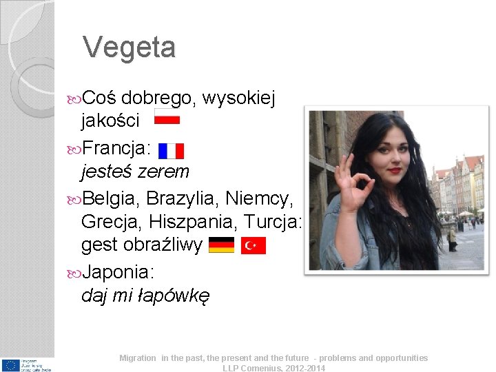 Vegeta Coś dobrego, wysokiej jakości Francja: jesteś zerem Belgia, Brazylia, Niemcy, Grecja, Hiszpania, Turcja: Vegeta Coś dobrego, wysokiej jakości Francja: jesteś zerem Belgia, Brazylia, Niemcy, Grecja, Hiszpania, Turcja: