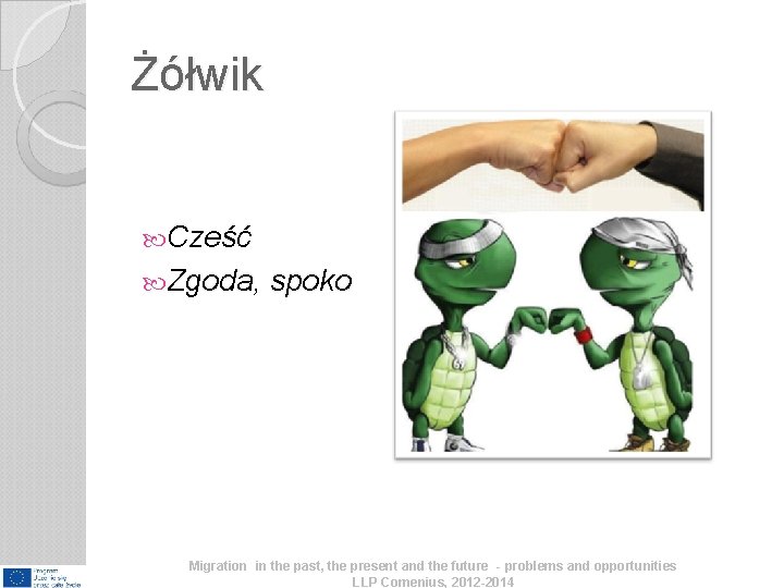 Żółwik Cześć Zgoda, spoko Migration in the past, the present and the future - Żółwik Cześć Zgoda, spoko Migration in the past, the present and the future -